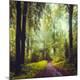 Photographic Print