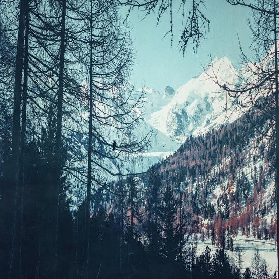 Photographic Print, , large