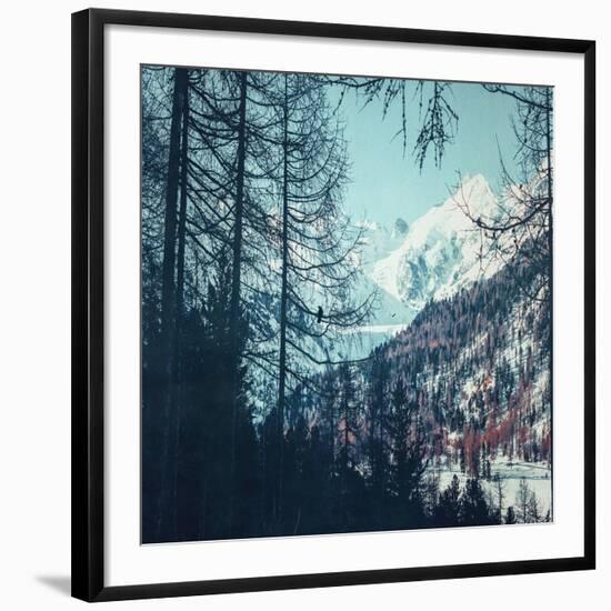 Photographic Print, , large