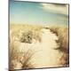 Premium Photographic Print
