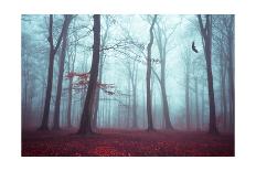 Silent Forest-Dirk Wuestenhagen-Photographic Print