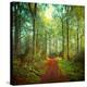 Stretched Canvas Print