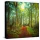 Stretched Canvas Print