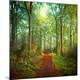 Premium Giclee Print