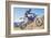 Dirt Biker-null-Framed Art Print