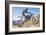 Dirt Biker-null-Framed Art Print