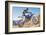 Dirt Biker-null-Framed Art Print