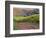 Dirt Road Along Acres of Vines at Knutsen Vineyard in the Willamette Valley, Oregon, USA-Janis Miglavs-Framed Photographic Print