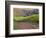 Dirt Road Along Acres of Vines at Knutsen Vineyard in the Willamette Valley, Oregon, USA-Janis Miglavs-Framed Photographic Print