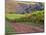 Dirt Road Along Acres of Vines at Knutsen Vineyard in the Willamette Valley, Oregon, USA-Janis Miglavs-Mounted Photographic Print