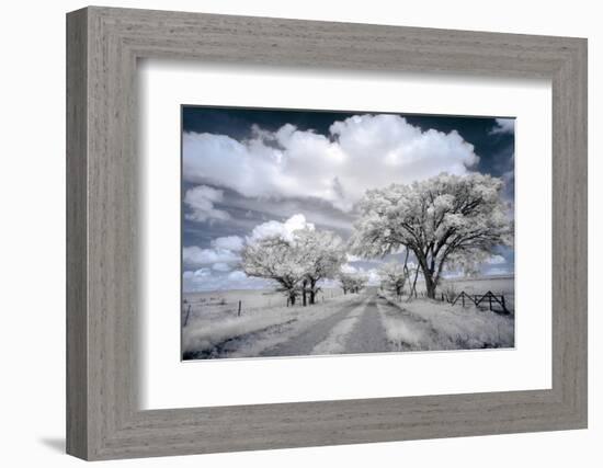 Dirt road in the Flint Hills of Kansas-Michael Scheufler-Framed Photographic Print