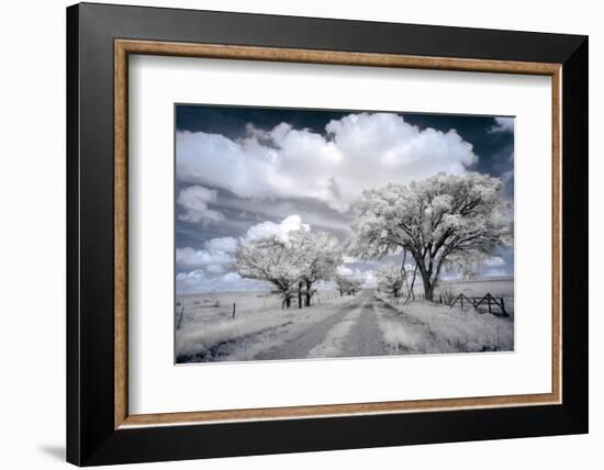 Dirt road in the Flint Hills of Kansas-Michael Scheufler-Framed Photographic Print