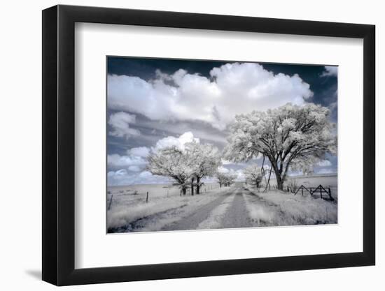 Dirt road in the Flint Hills of Kansas-Michael Scheufler-Framed Photographic Print