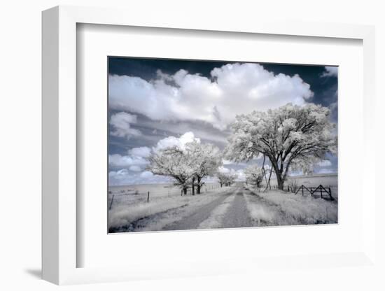 Dirt road in the Flint Hills of Kansas-Michael Scheufler-Framed Photographic Print