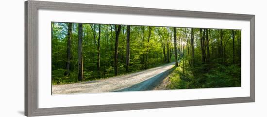 Dirt Road Passing Through a Forest, Great Smoky Mountains National Park, Blount County, Tennesse...-null-Framed Photographic Print