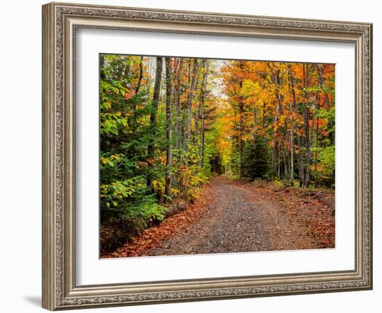 Dirt road passing through a forest, Keweenaw Peninsula, Upper Peninsula, Alger County, Michigan...-null-Framed Photographic Print