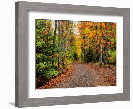 Dirt road passing through a forest, Keweenaw Peninsula, Upper Peninsula, Alger County, Michigan...-null-Framed Photographic Print