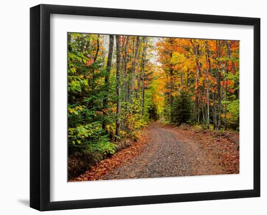 Dirt road passing through a forest, Keweenaw Peninsula, Upper Peninsula, Alger County, Michigan...-null-Framed Photographic Print