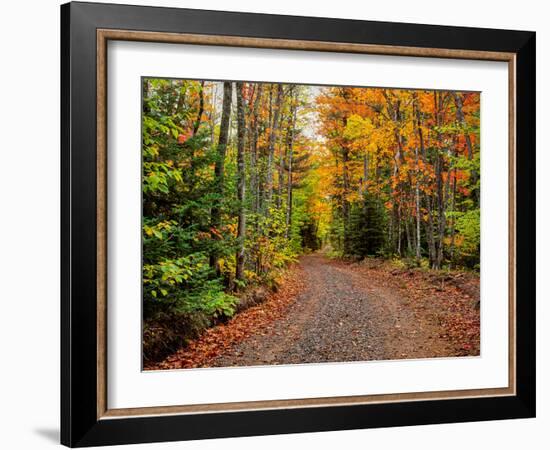 Dirt road passing through a forest, Keweenaw Peninsula, Upper Peninsula, Alger County, Michigan...-null-Framed Photographic Print