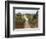 Dirt Road, Uganda, Africa-Ivan Vdovin-Framed Photographic Print