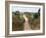 Dirt Road, Uganda, Africa-Ivan Vdovin-Framed Photographic Print