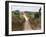 Dirt Road, Uganda, Africa-Ivan Vdovin-Framed Photographic Print