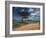 Dirt Track Road and Acacia Trees, Baragoi, Kenya, East Africa, Africa-Dominic Harcourt-webster-Framed Photographic Print