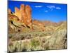 Dirt Trail Through Sagebrush and Tall Redstone Cliffs, Owyhee Area, Oregon, USA-Janis Miglavs-Mounted Photographic Print