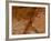 Dirty Chopping Board-Volker Steger-Framed Photographic Print