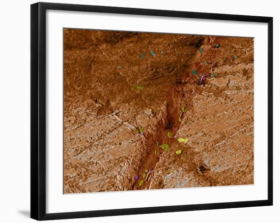 Dirty Chopping Board-Volker Steger-Framed Photographic Print