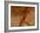 Dirty Chopping Board-Volker Steger-Framed Photographic Print