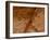 Dirty Chopping Board-Volker Steger-Framed Photographic Print