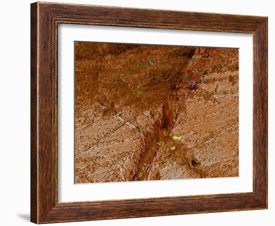 Dirty Chopping Board-Volker Steger-Framed Photographic Print