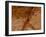 Dirty Chopping Board-Volker Steger-Framed Photographic Print