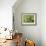 Dirty Socks-Leah Saulnier-Framed Giclee Print displayed on a wall
