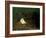 Disappointed Love, 1821-Francis Danby-Framed Giclee Print