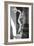 Discobolus Rome Italy-null-Framed Photo