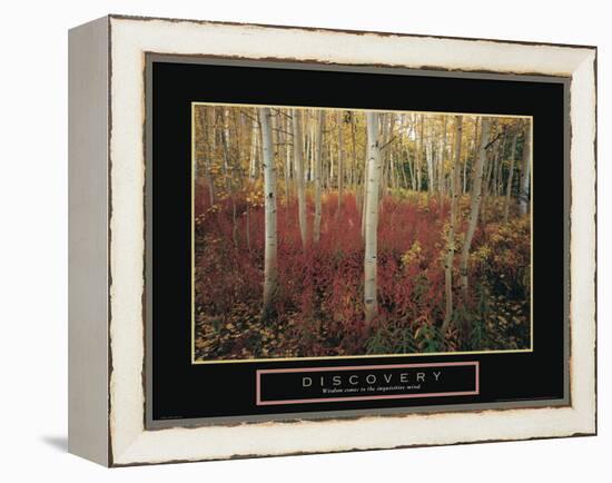 Discovery - Aspen Trees-Unknown Unknown-Framed Stretched Canvas