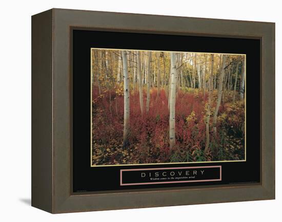 Discovery - Aspen Trees-Unknown Unknown-Framed Stretched Canvas