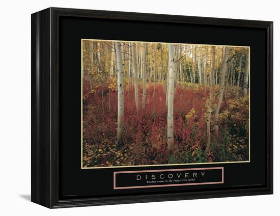 Discovery - Aspen Trees-Unknown Unknown-Framed Stretched Canvas