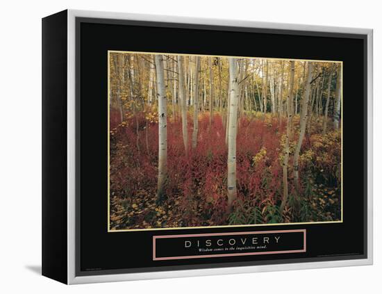 Discovery - Aspen Trees-Unknown Unknown-Framed Stretched Canvas