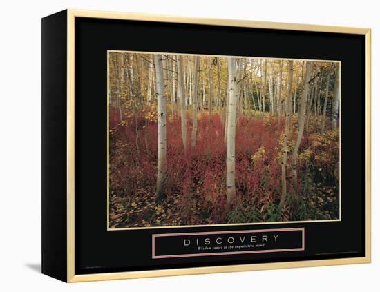 Discovery - Aspen Trees-Unknown Unknown-Framed Stretched Canvas