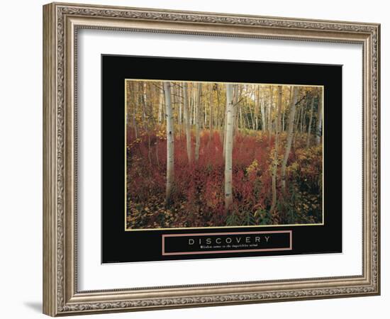 Discovery - Aspen Trees-Unknown Unknown-Framed Photo