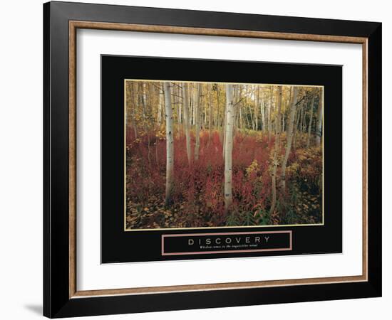 Discovery - Aspen Trees-Unknown Unknown-Framed Photo