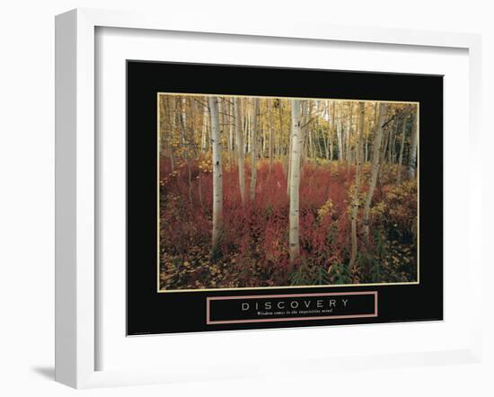 Discovery - Aspen Trees-Unknown Unknown-Framed Photo