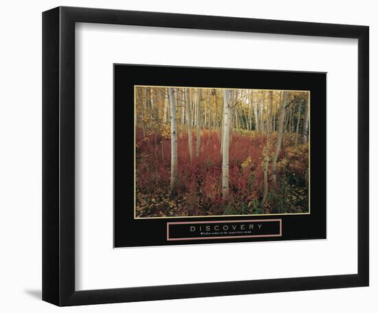 Discovery - Aspen Trees-Unknown Unknown-Framed Photo