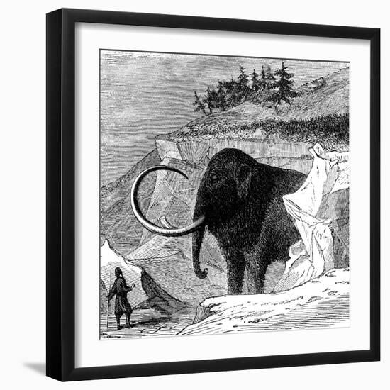 Discovery of a Woolly Mammoth, 1779-null-Framed Giclee Print