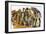 Discovery of the Rosetta Stone in Egypt (Colour Litho)-Peter Jackson-Framed Giclee Print