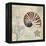 Discovery Shell I-Paul Brent-Framed Stretched Canvas