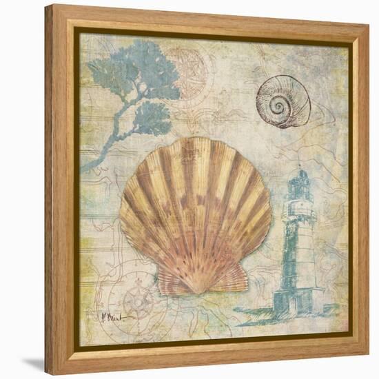 Discovery Shell II-Paul Brent-Framed Stretched Canvas